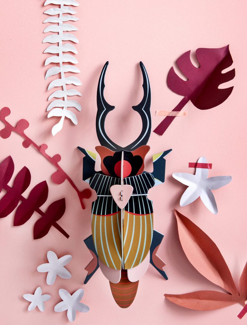 3951E7F8-BC60-479B-82DC-FA5FF4BDA6DA