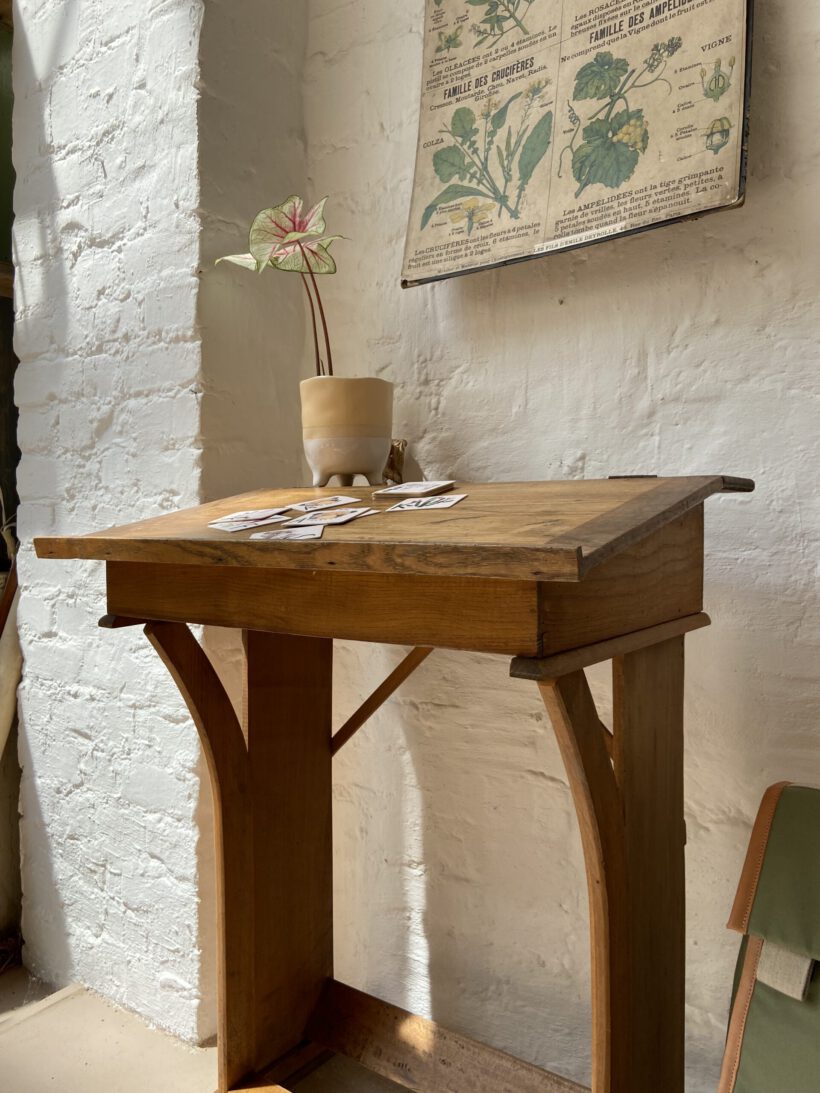 8191D236-C9AC-4DAD-8243-5AFAA5255902