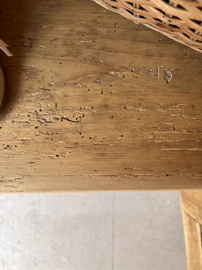 B682BDD6-CC0B-4078-9364-05B69D43D408