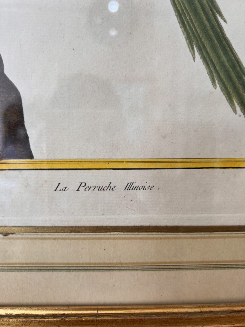 03C6F217-4705-4CFC-8273-EFE2353B8595