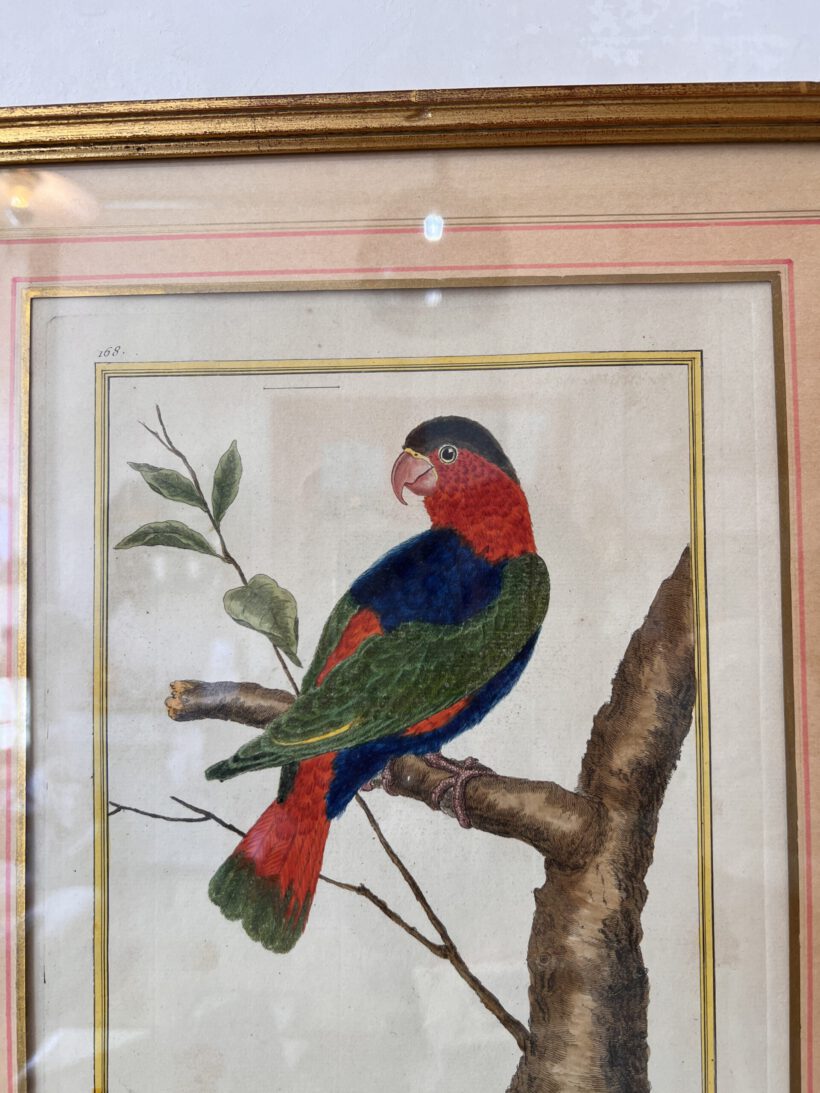 1D8EC58C-C90A-44F1-8F43-A3BE94308D4F