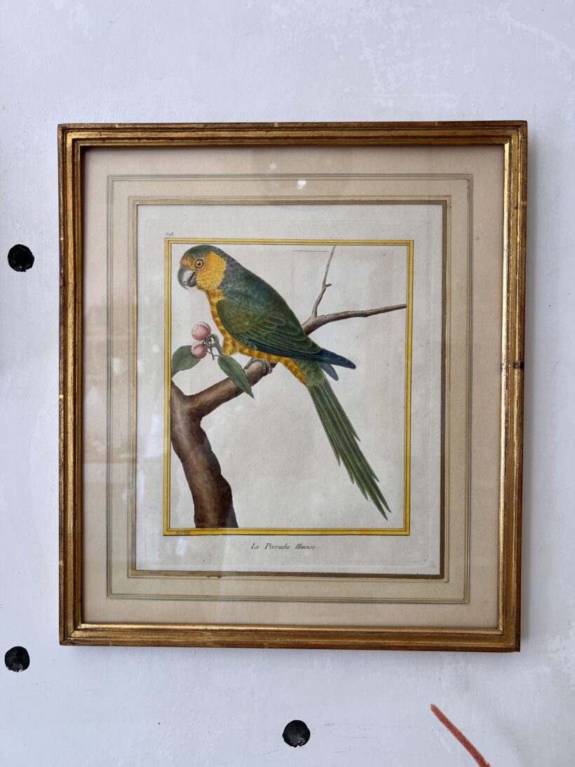 23E6A486-EB4B-4F0E-B43C-2A4B0F1718EA