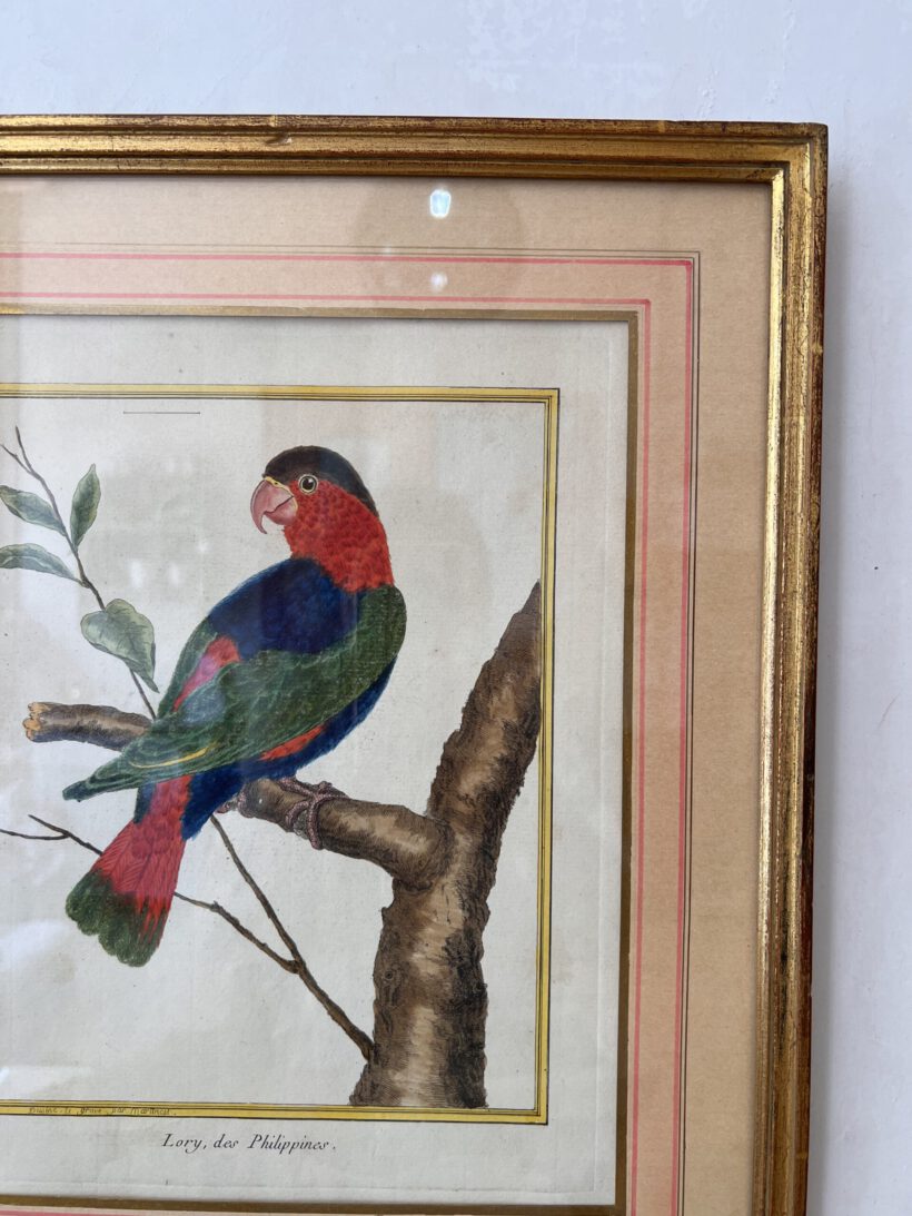 31A0FA10-B816-4539-A225-2124222D4C77