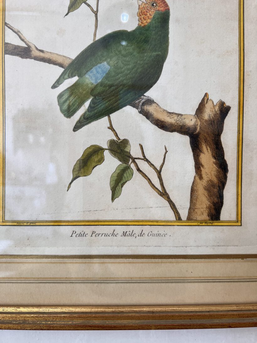 4EDAE238-AD03-48E5-A992-206EE8C50834