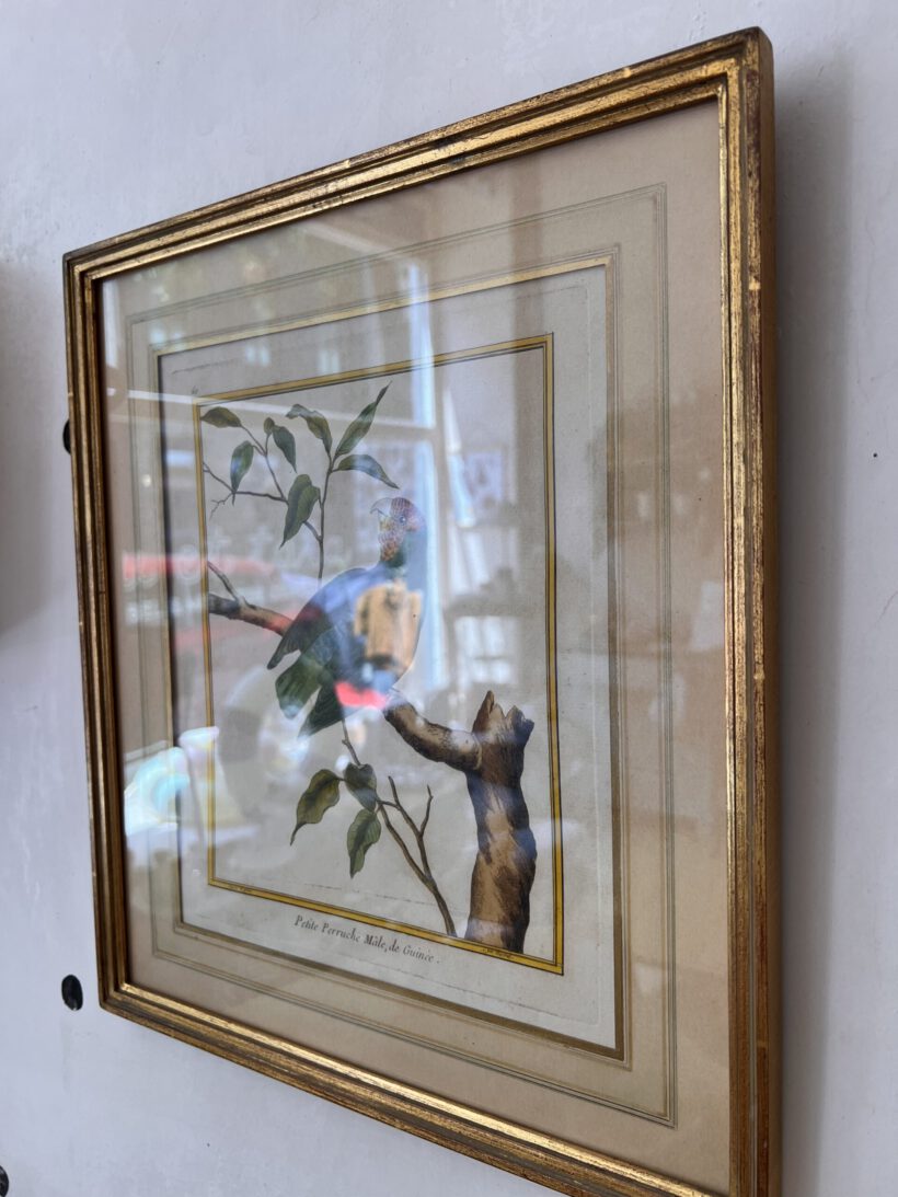 6EC59A81-2420-40EC-BD78-74D722A25246