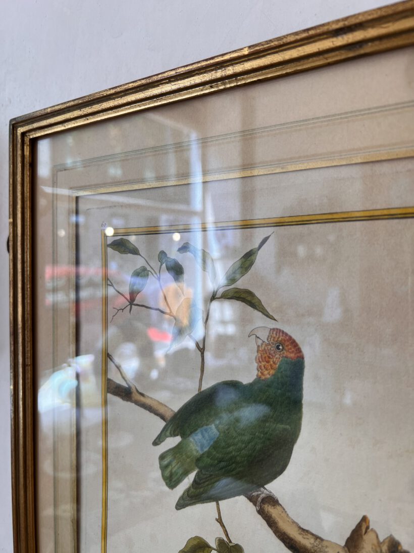 862066FF-EA91-4922-ACB6-7D6A80A4BF1D