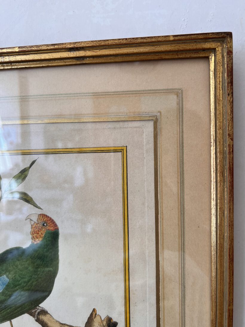 A766BF65-6192-4876-8A6A-0A2026E4FC42