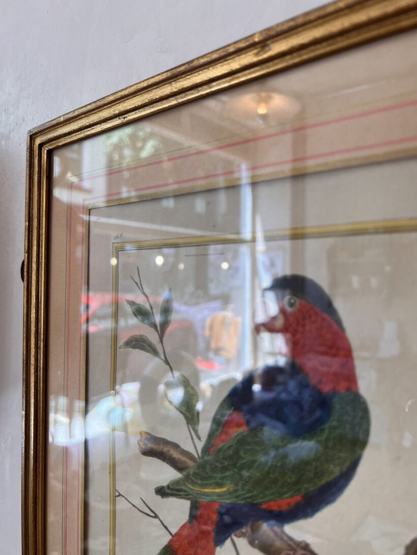 BCA2594A-C7F1-4A8D-BF25-F2D710356464