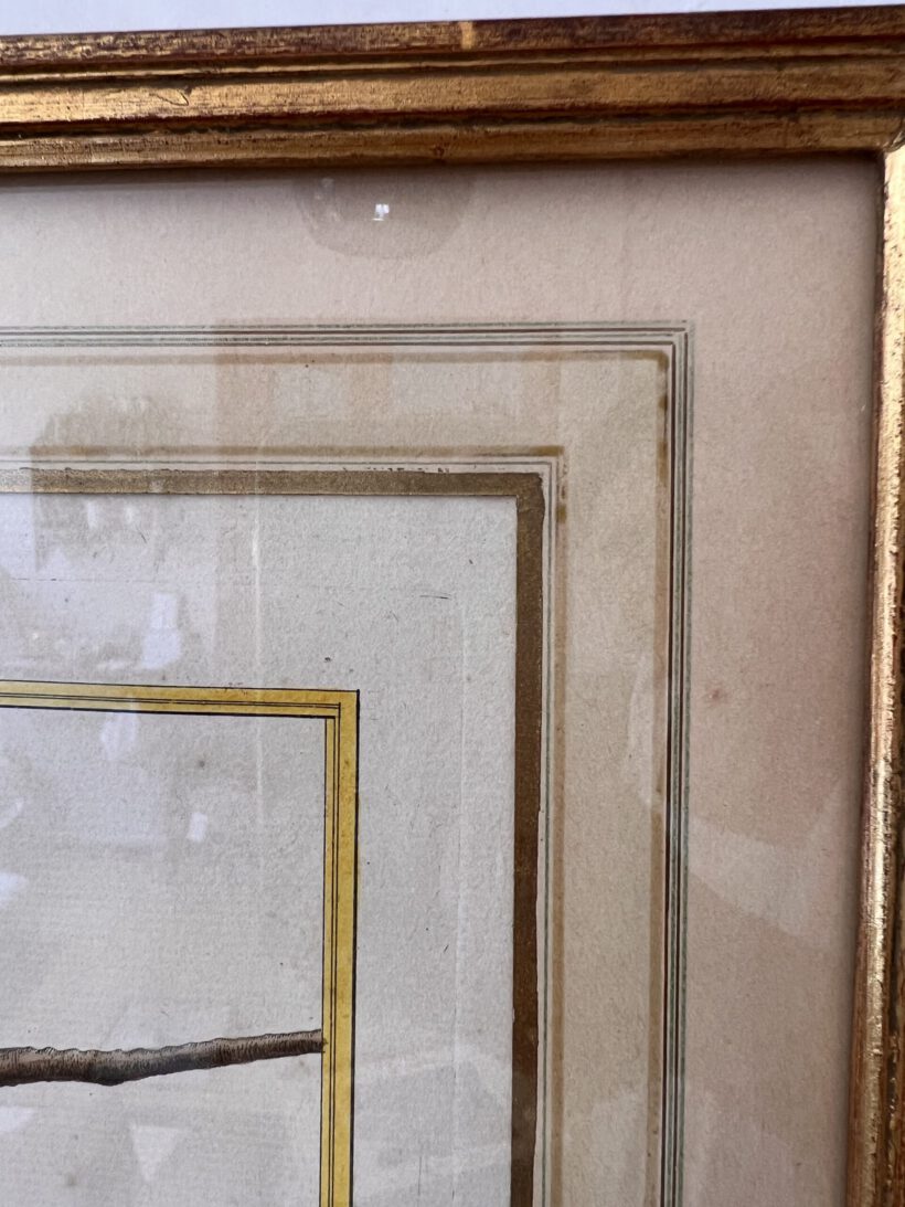 D6C4654A-36A6-4AAE-BC38-A440EA1554D8