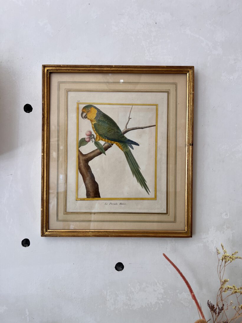 D7A1F3C4-04C1-4402-A12D-C10E0CA452AB