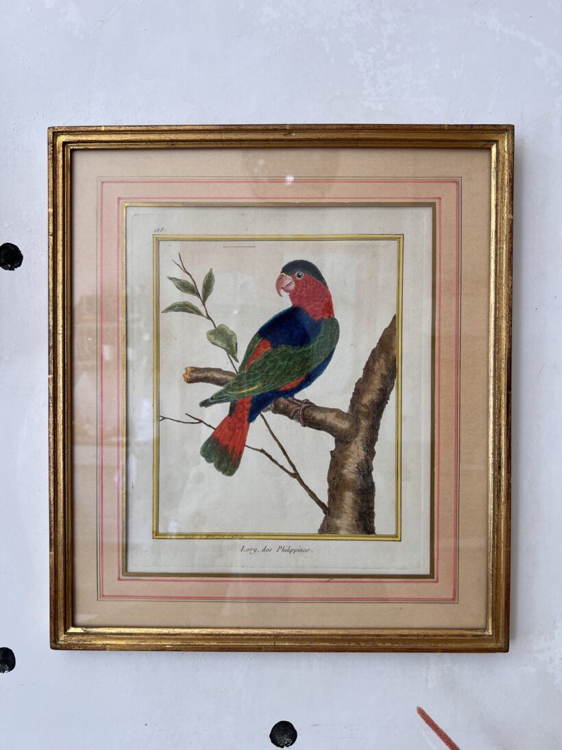 E602D219-5B07-479E-A648-868CC83034B1