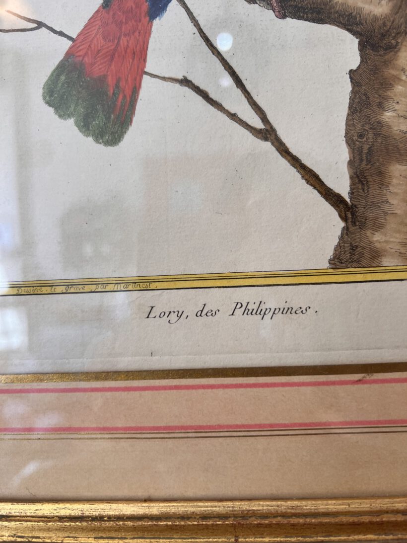 EDBF2C51-4476-46D5-AF77-11343C506910