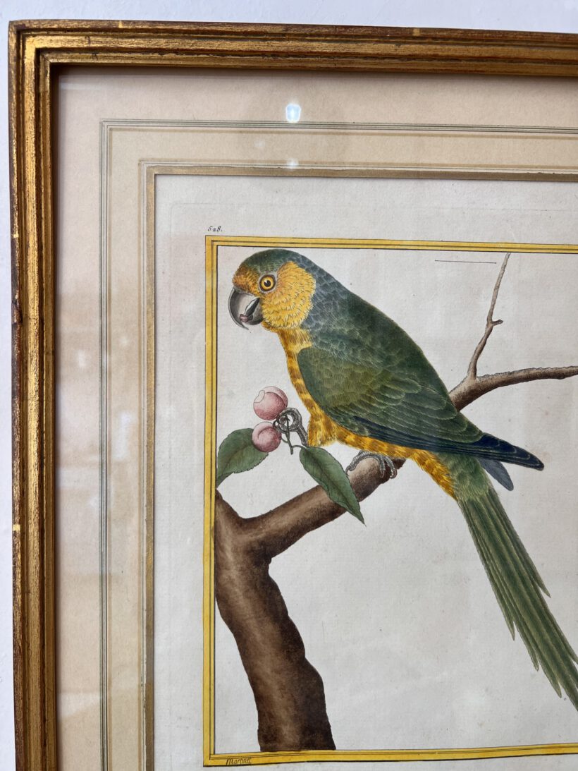 F8DFB18E-4AF9-4AA5-8FB0-C2E66669AAC0