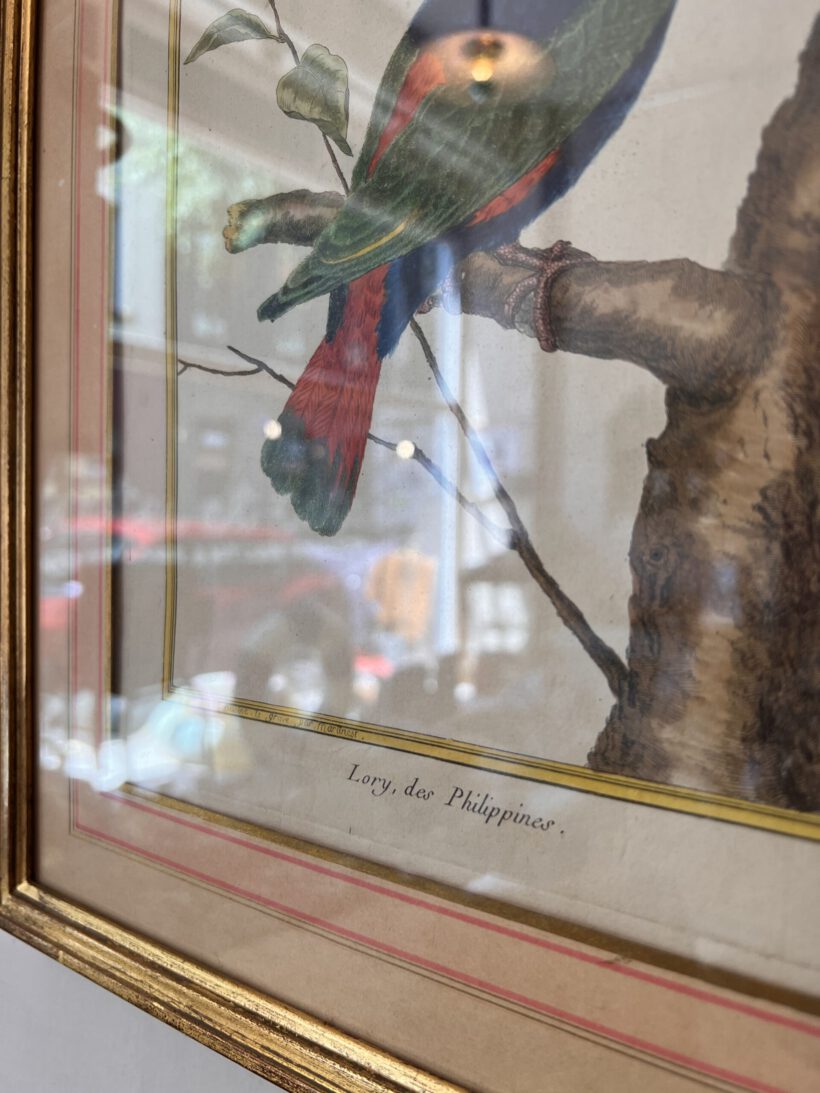 F971CD4A-89E7-40D9-AF43-16FB7077B4D8