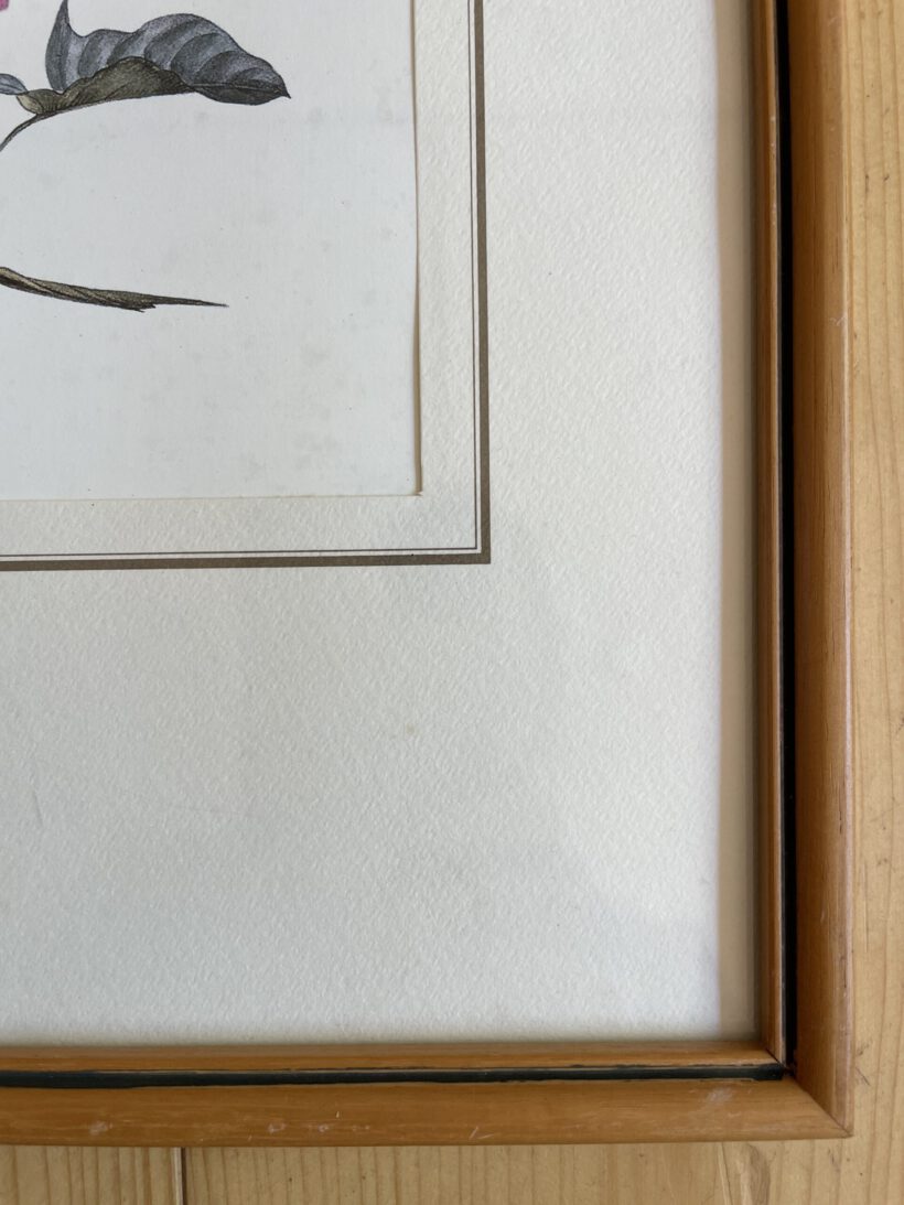 8B12963A-8835-44D5-B225-E479F2AB008C