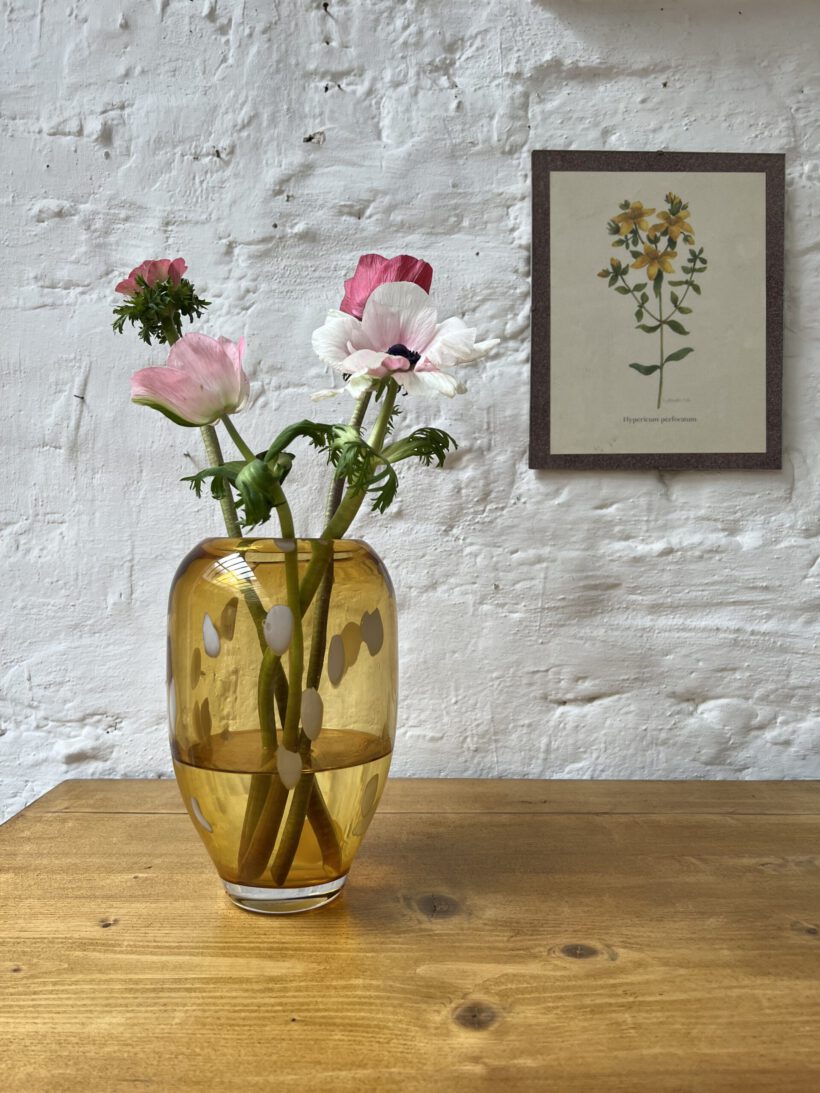 1814BEDA-08F6-4D62-B908-FFA274F243F6