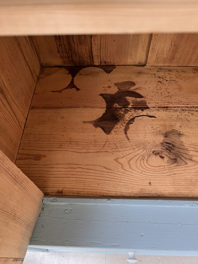 6D0131BE-DC0F-4D55-A0C6-AE4392AD55D8